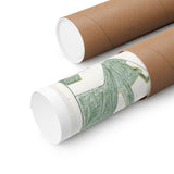 6th Canadian Infantry Brigade – Crossing the Antwerp–Turnhout Canal (1944)